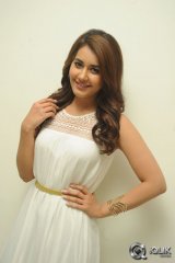 Raashi Khanna at Jil Movie Success Meet